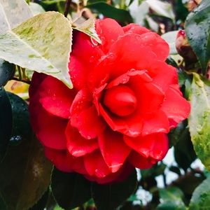 Meet your Posher, Sal